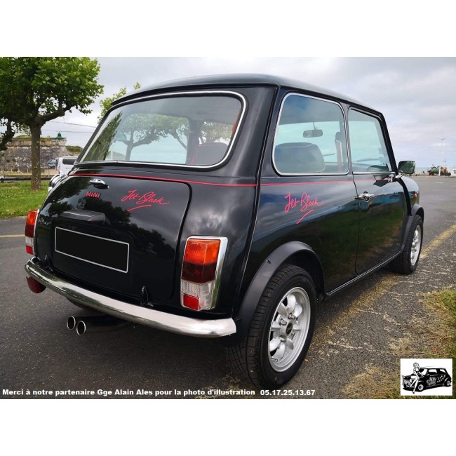 Ligne complète double sortie centrale Maniflow - Austin