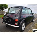 SIlencieux Maniflow Double Sortie Centrale