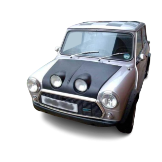 Capot Av Frog Eye (phares inclus)