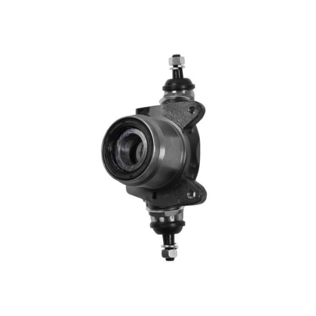 Porte Roue Moyeu Av Disque Droite Complet-Austin Mini