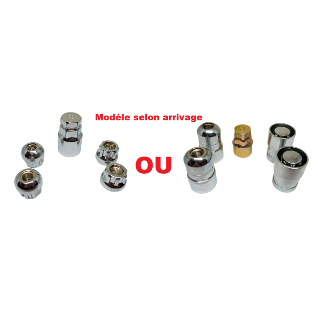 Kit écrous de roue antivol (budget) Radius