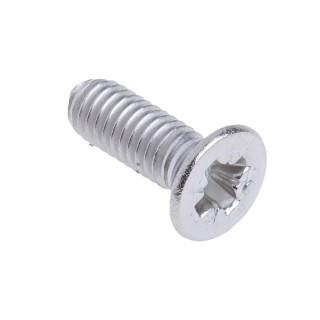 Vis de charnière de porte (unité) - Austin Mini