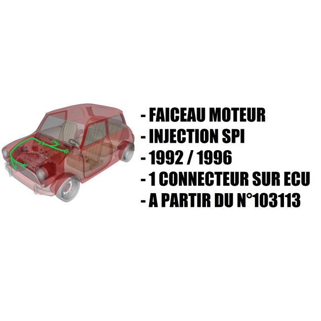 Faisceau électrique moteur - Austin Mini - SPI