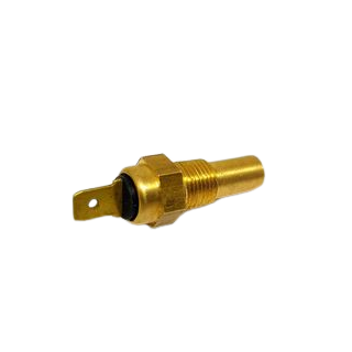 Sonde température d'eau Smith 1/8NPT