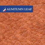 Housse de siège Austin Mini - Saloon Mk3 850cc (Automne) ORIGINE