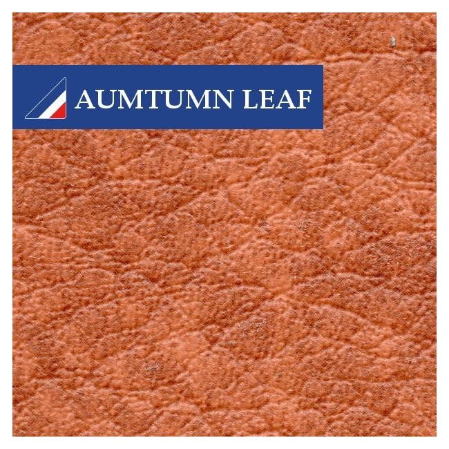 Housse de siège (ASSISE) Austin Mini - Saloon Mk3 (Automne) ORIGINE