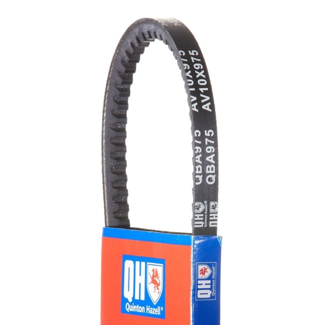 Courroie accessoire - Triumph