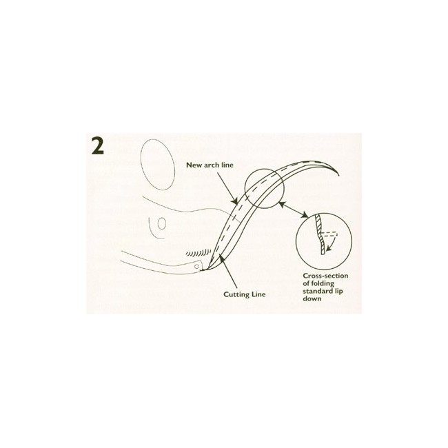 Extension d'aile Sport Pack (80mm) fibre (Les 4) - Austin