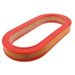 Filtre à air injection Austin Mini-Austin Mini